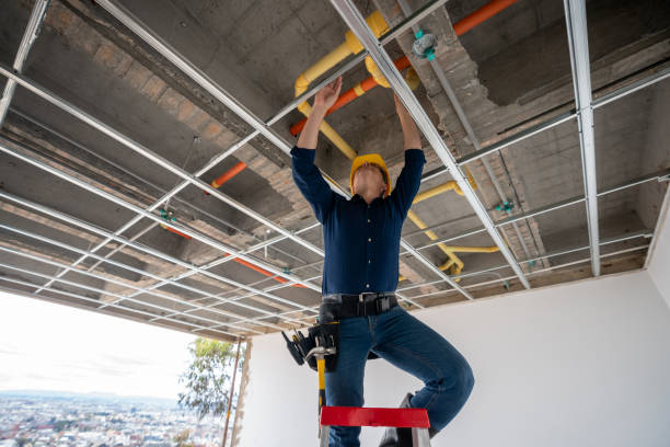 Best Clogged Drain Plumber  in Nellysford, VA