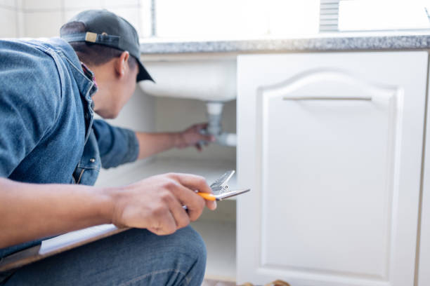 Best Plumbing Inspection Services  in Nellysford, VA